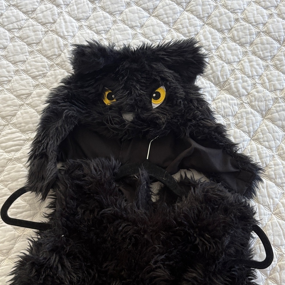 Pottery Barn Kids Black Cat Costume